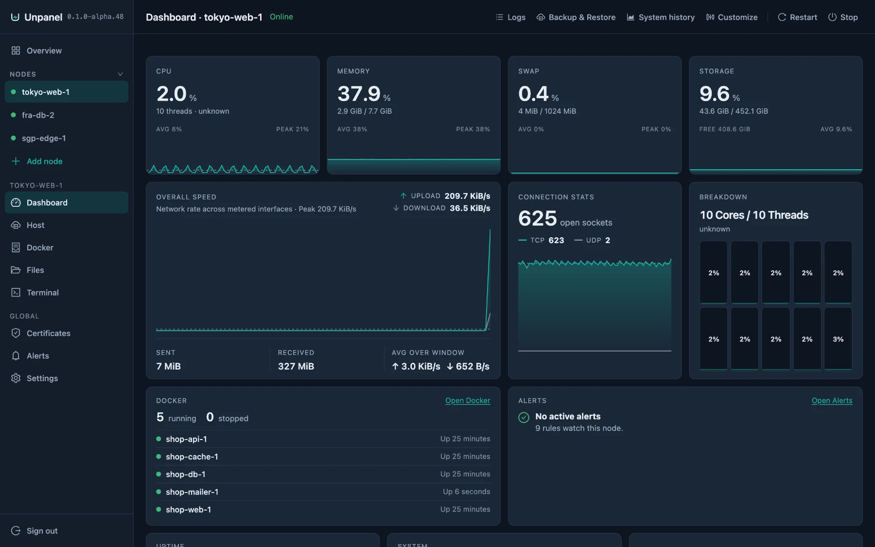 The node dashboard with CPU, memory, swap and storage tiles, network throughput and a Docker card