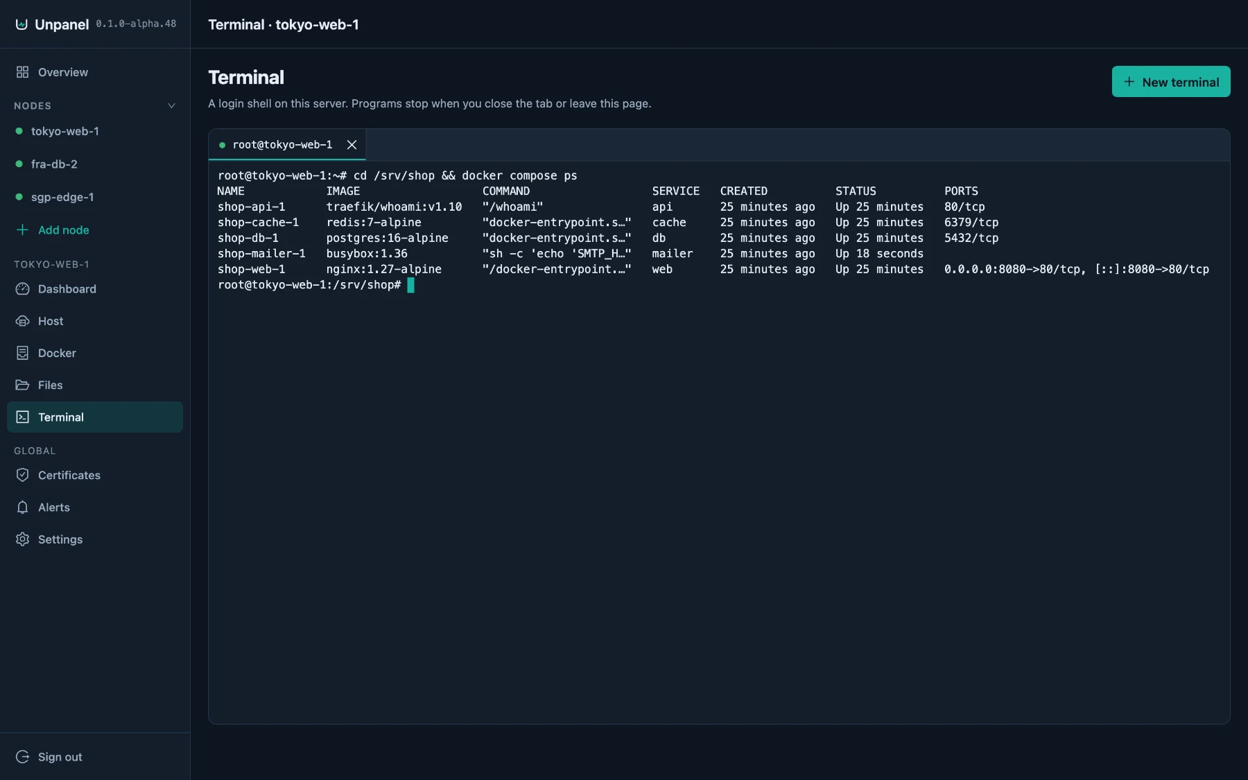 A web terminal showing docker compose ps on the server